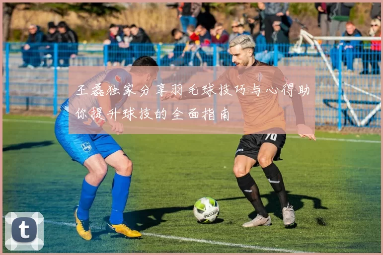 王磊独家分享羽毛球技巧与心得助你提升球技的全面指南