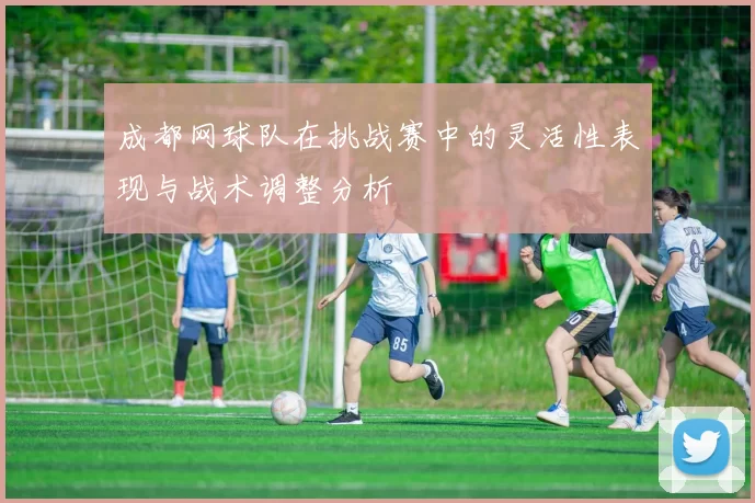 成都网球队在挑战赛中的灵活性表现与战术调整分析