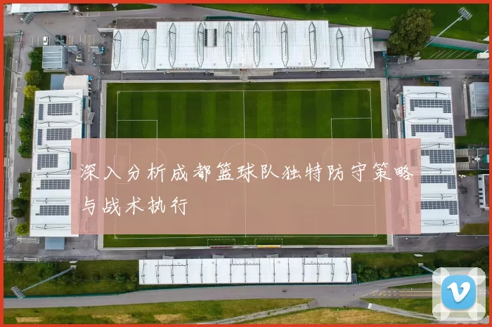 深入分析成都篮球队独特防守策略与战术执行