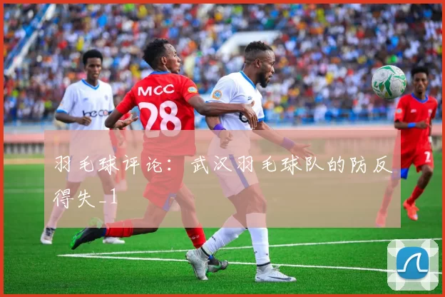 羽毛球评论：武汉羽毛球队的防反得失_1