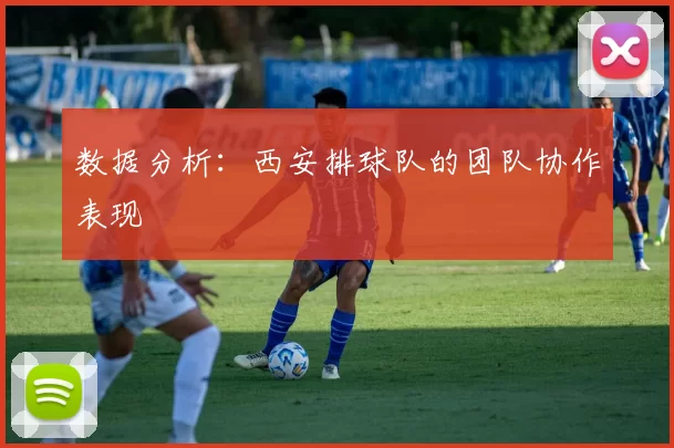 数据分析：西安排球队的团队协作表现